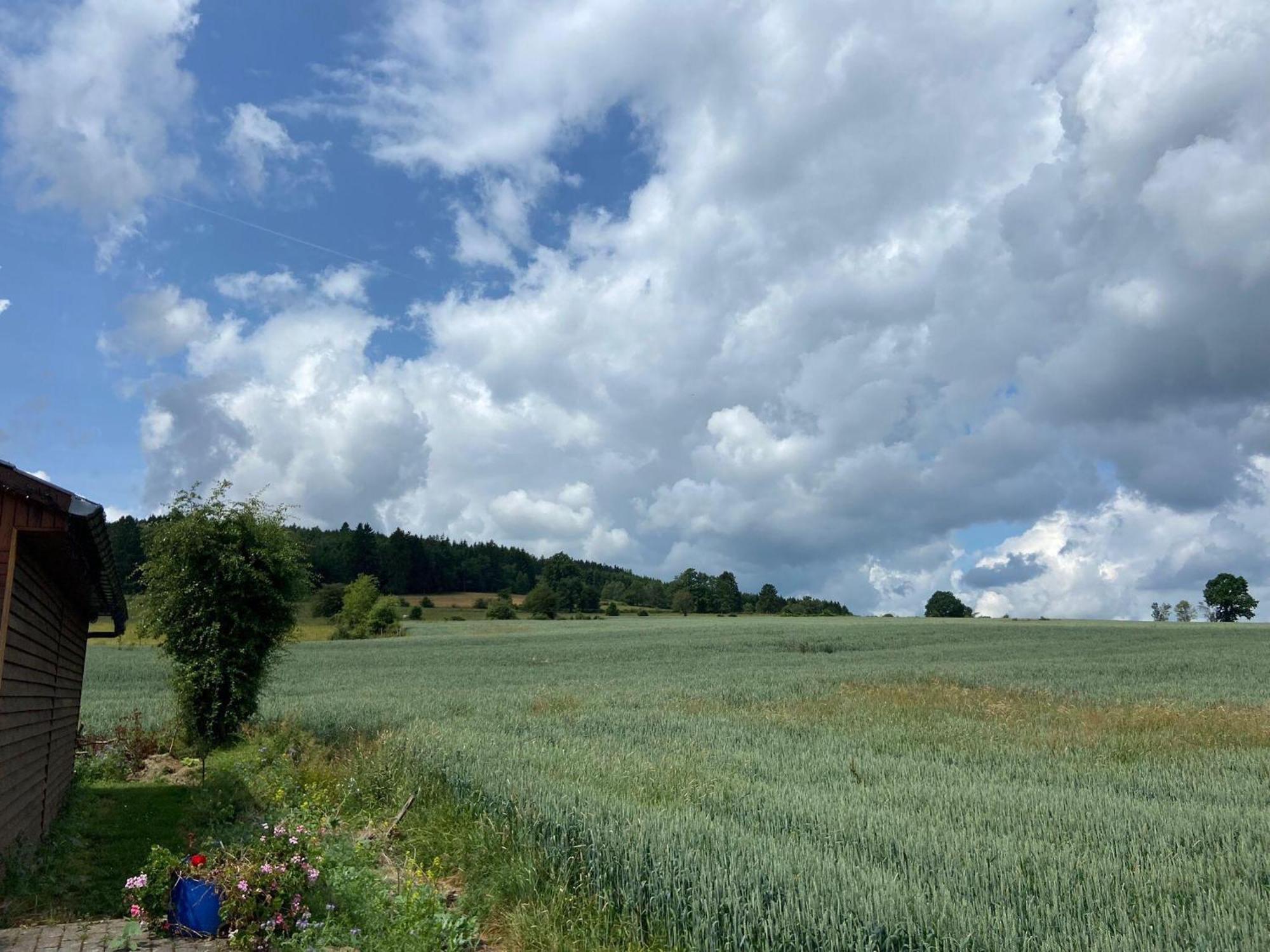 Sophisticated Holiday Home In Lierneux Near Forest Luaran gambar