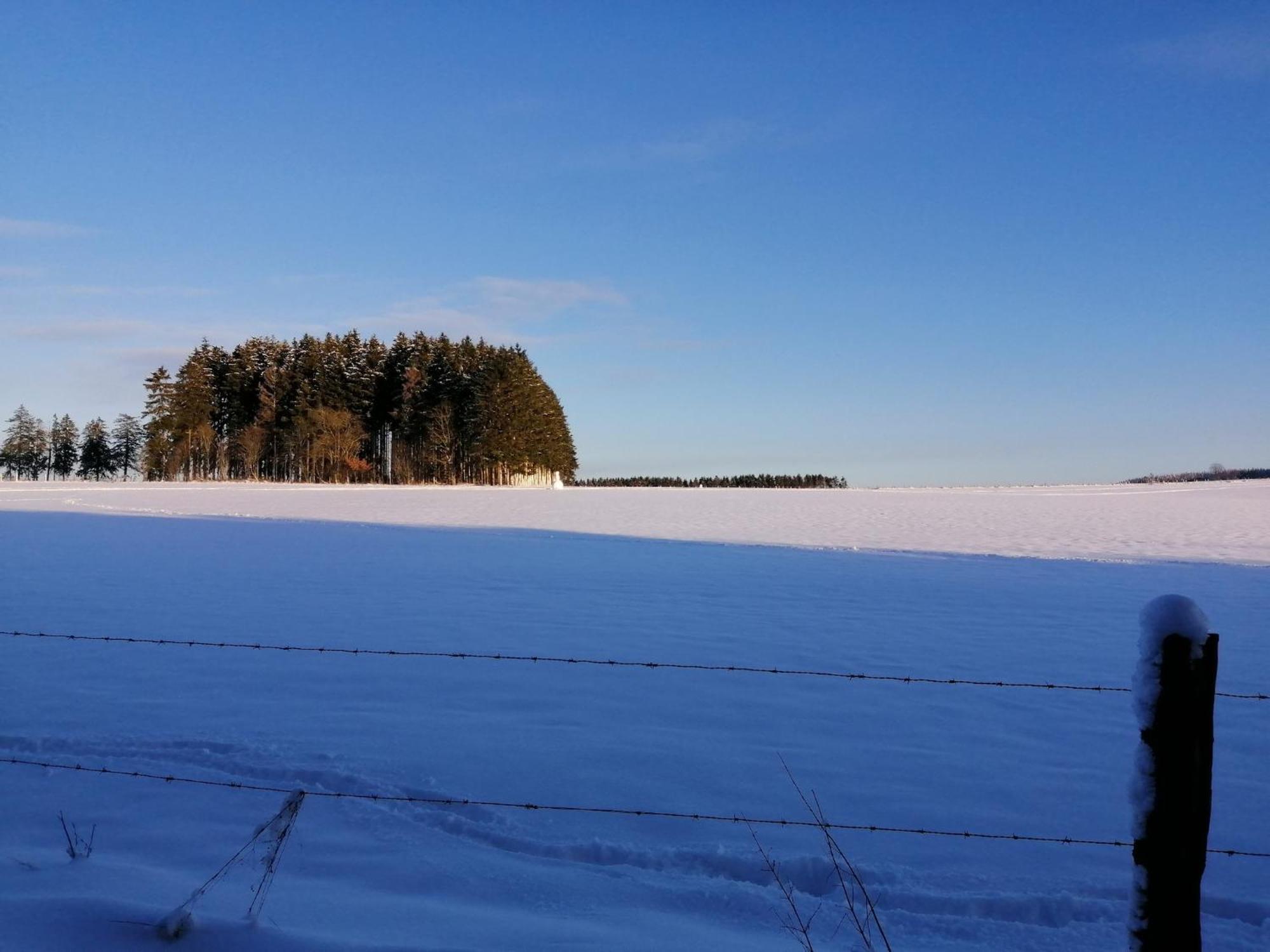 Sophisticated Holiday Home In Lierneux Near Forest Luaran gambar