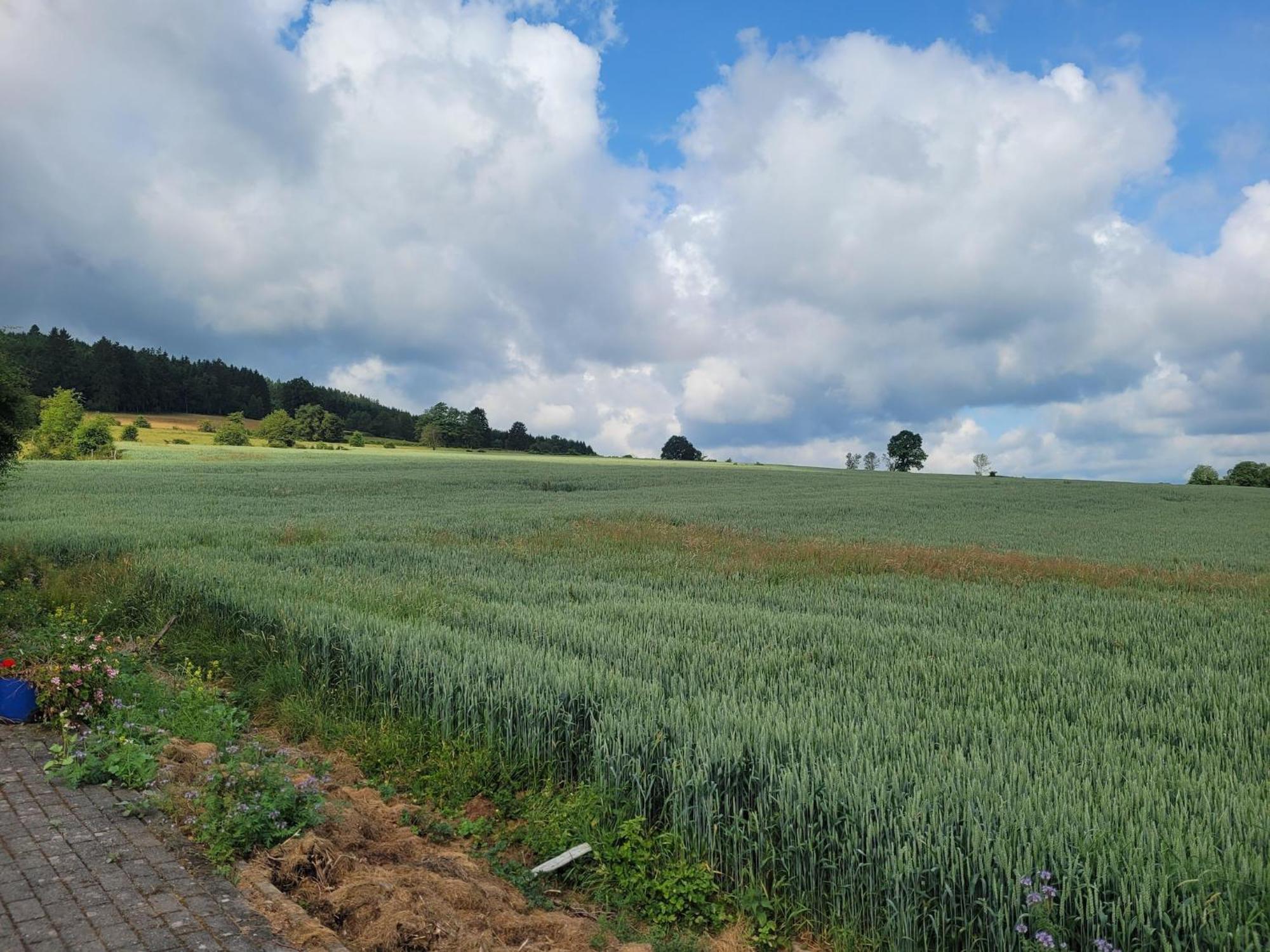 Sophisticated Holiday Home In Lierneux Near Forest Luaran gambar